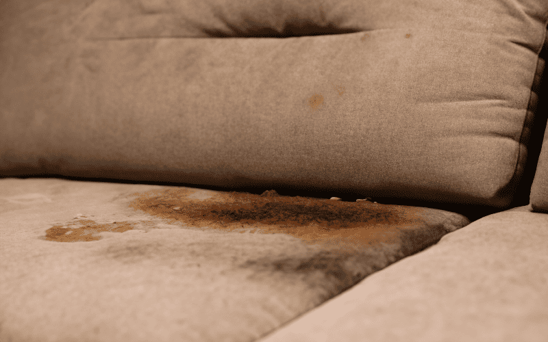 How-to-Remove-Odors-from-Upholstery-Tips-for-Freshening-Your-Furniture