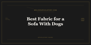 Best Fabric for a Sofa With Dogs: What Actually Holds Up