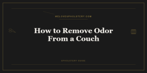 How to Remove Odor From a Couch: What Actually Eliminates It